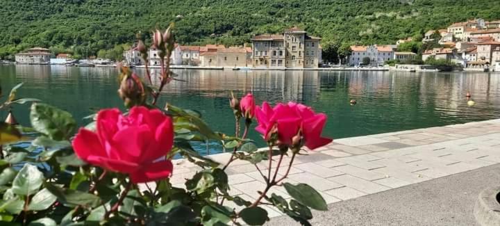 Apartmani Petar I Luka Bakar Exteriör bild